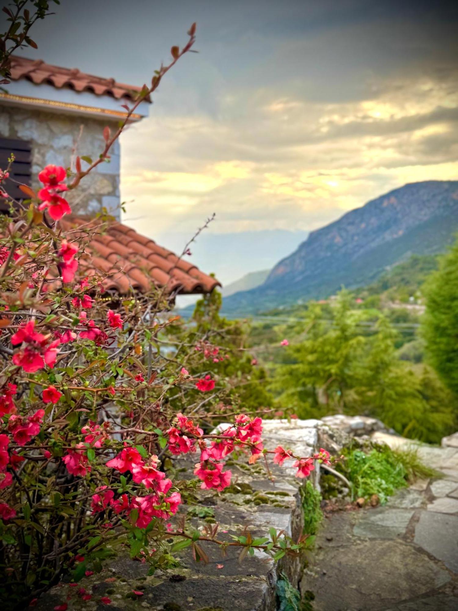 Rock Dandy Deluxe Chalet In Arachova - Delphi, Sauna, Prv Parking, Amazing View Ngoại thất bức ảnh